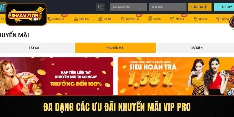 Đa dạng các ưu đãi khuyến mãi vip pro