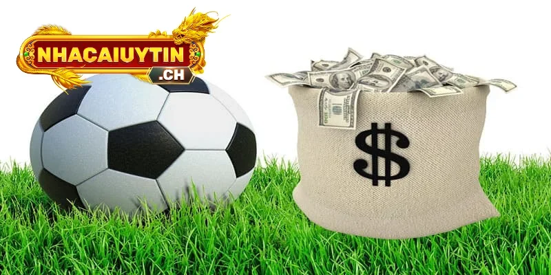 Phương Pháp Hiểu Đúng Và Đọc Chuẩn Kèo 0.5 (Nửa Trái)