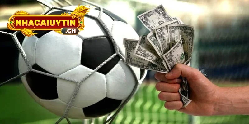 Lưu ý khi cược live score