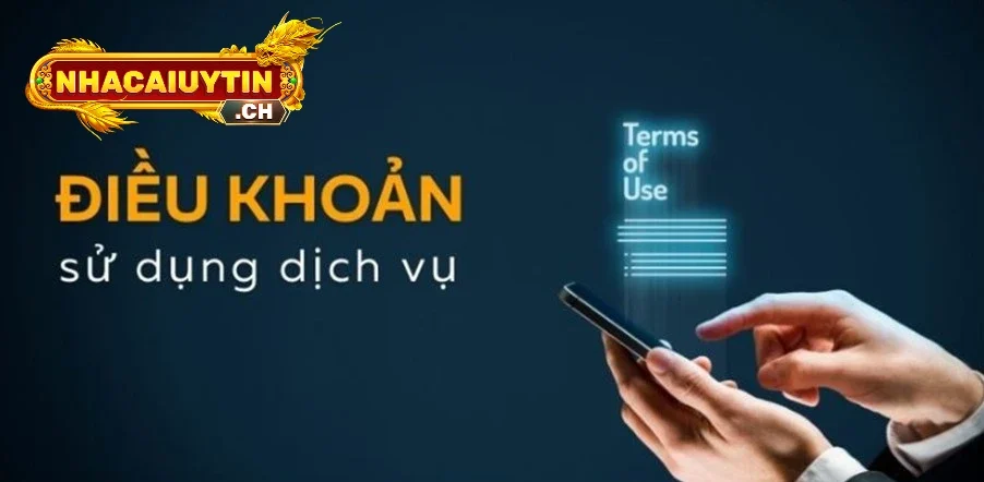 Vài nét về điều khoản sử dụng