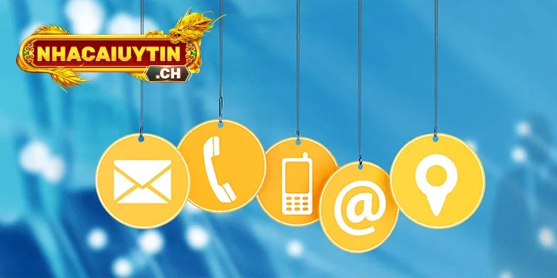 Chúng tôi hỗ trợ đa dạng các kênh liên hệ hàng ngày